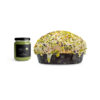 Panettone con crema al pistacchio - Image 2